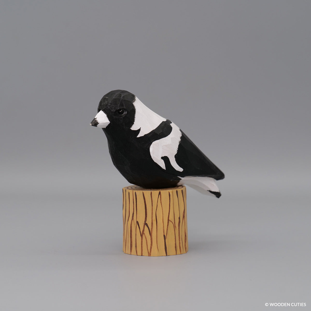 Australian Magpie