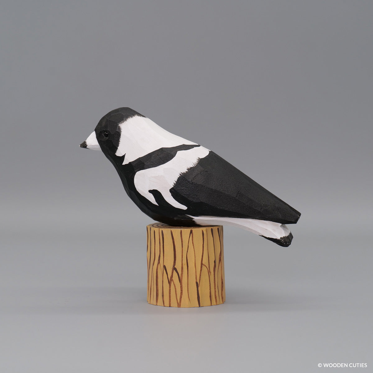 Australian Magpie