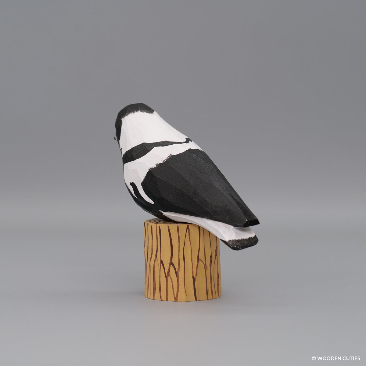 Australian Magpie