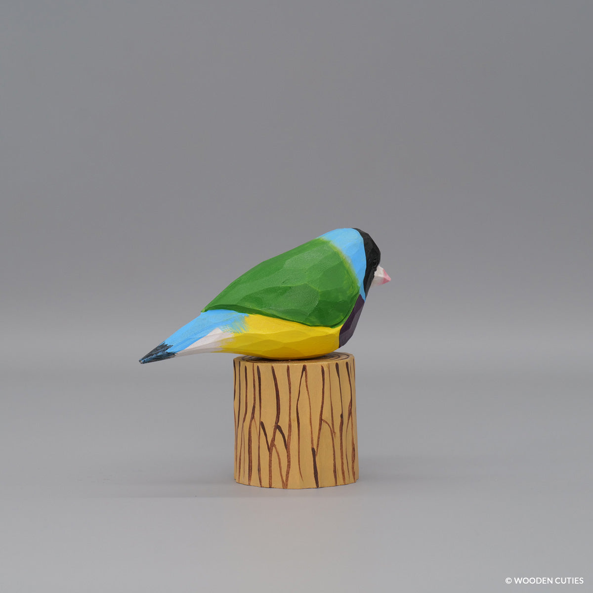 Gouldian Finch
