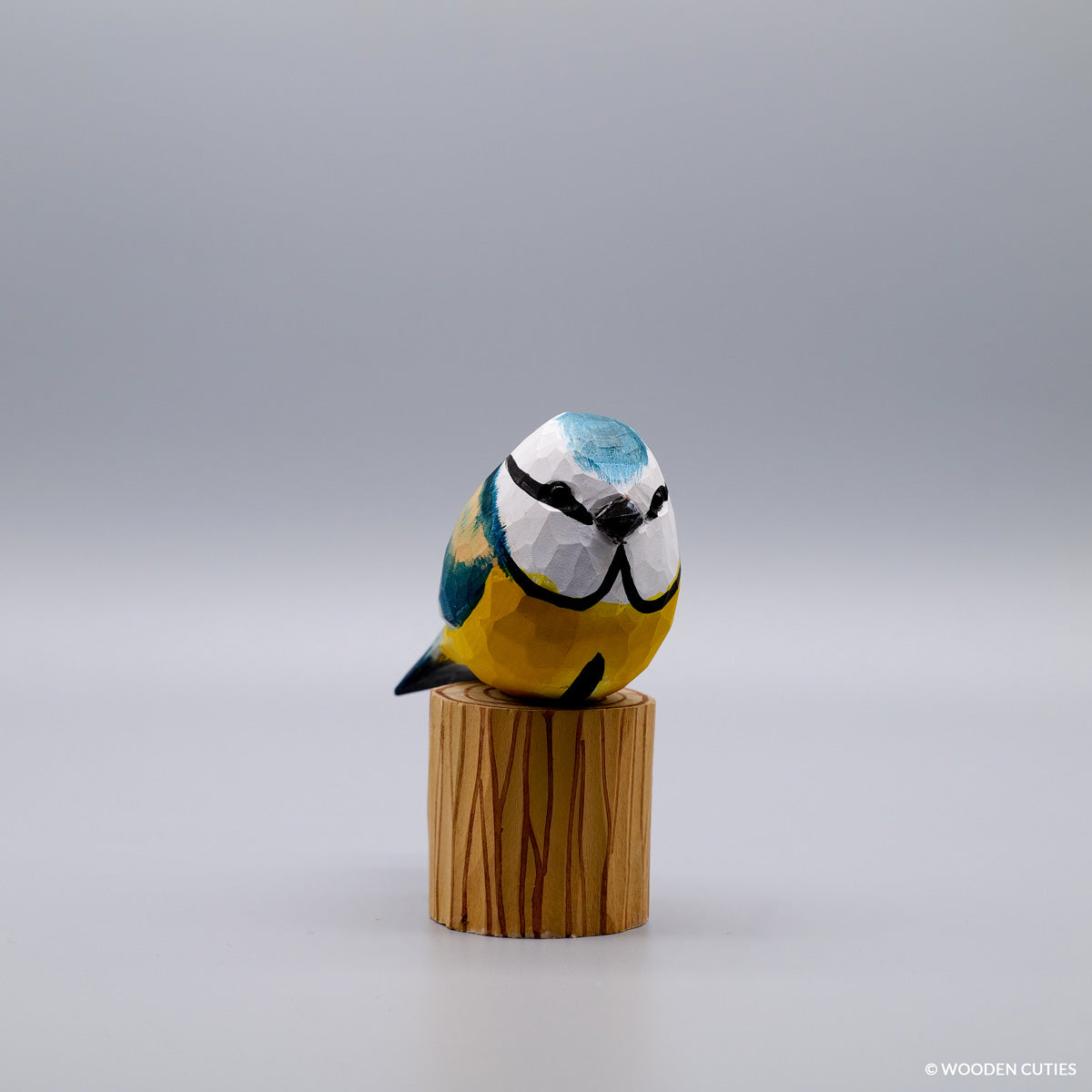 Blue Tit