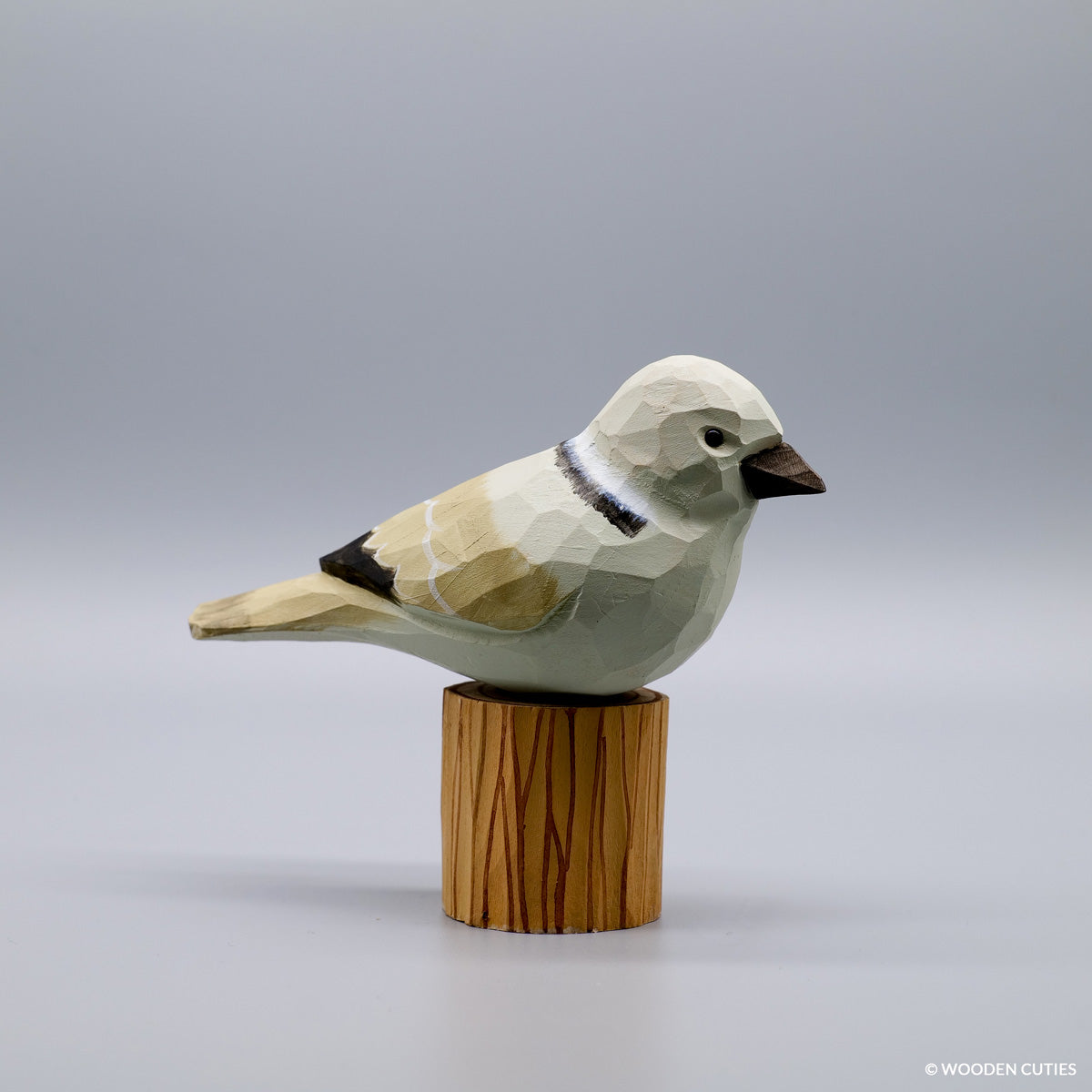 Set of 10 Birds