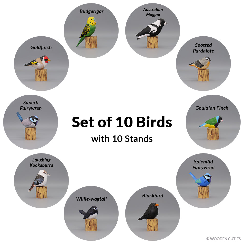 Set of 10 Birds