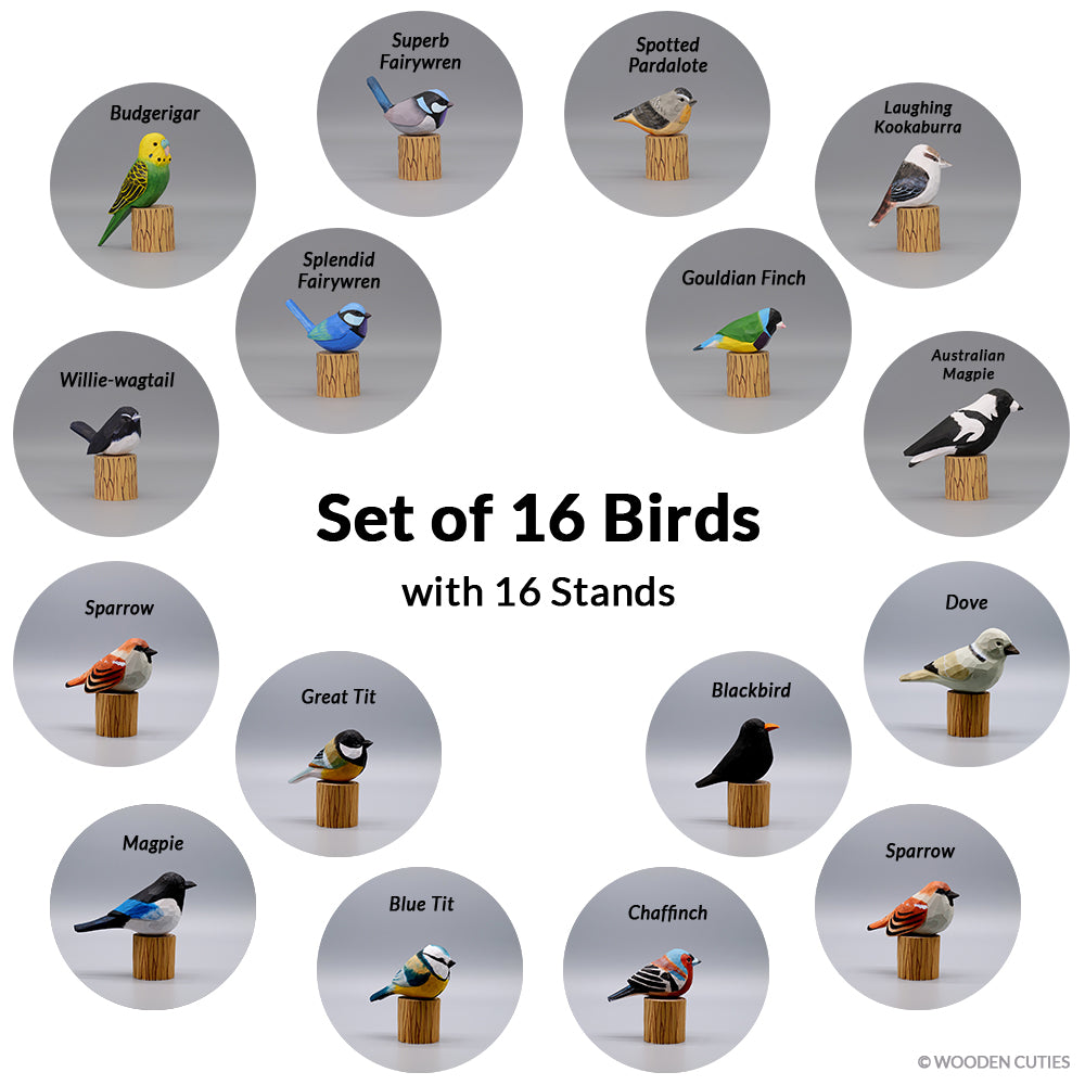 Set of 16 Birds