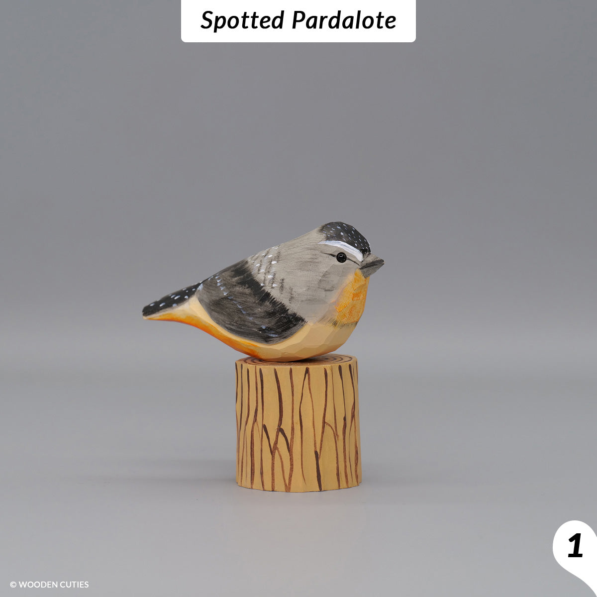 Set of 10 Birds