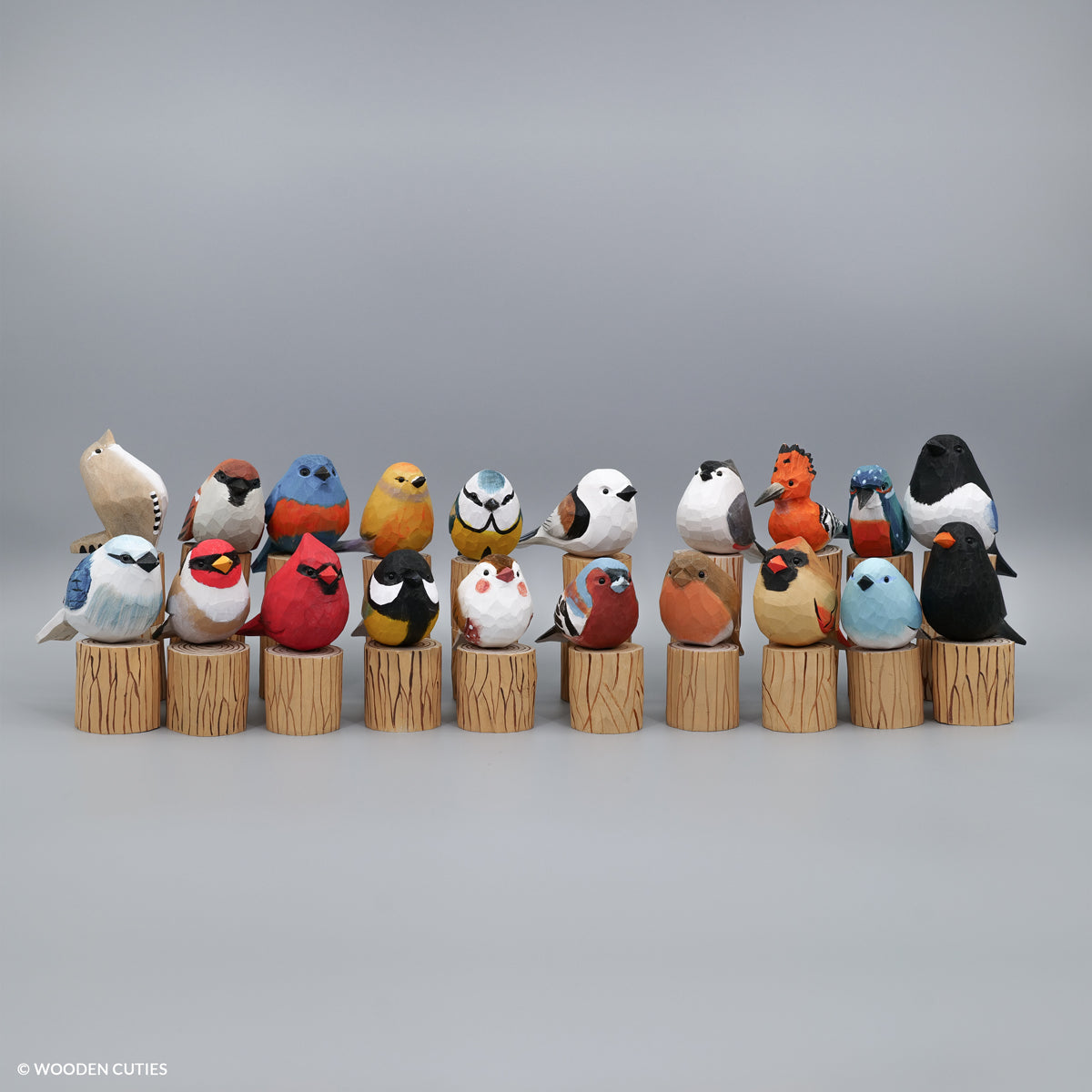 Set of 20 Birds