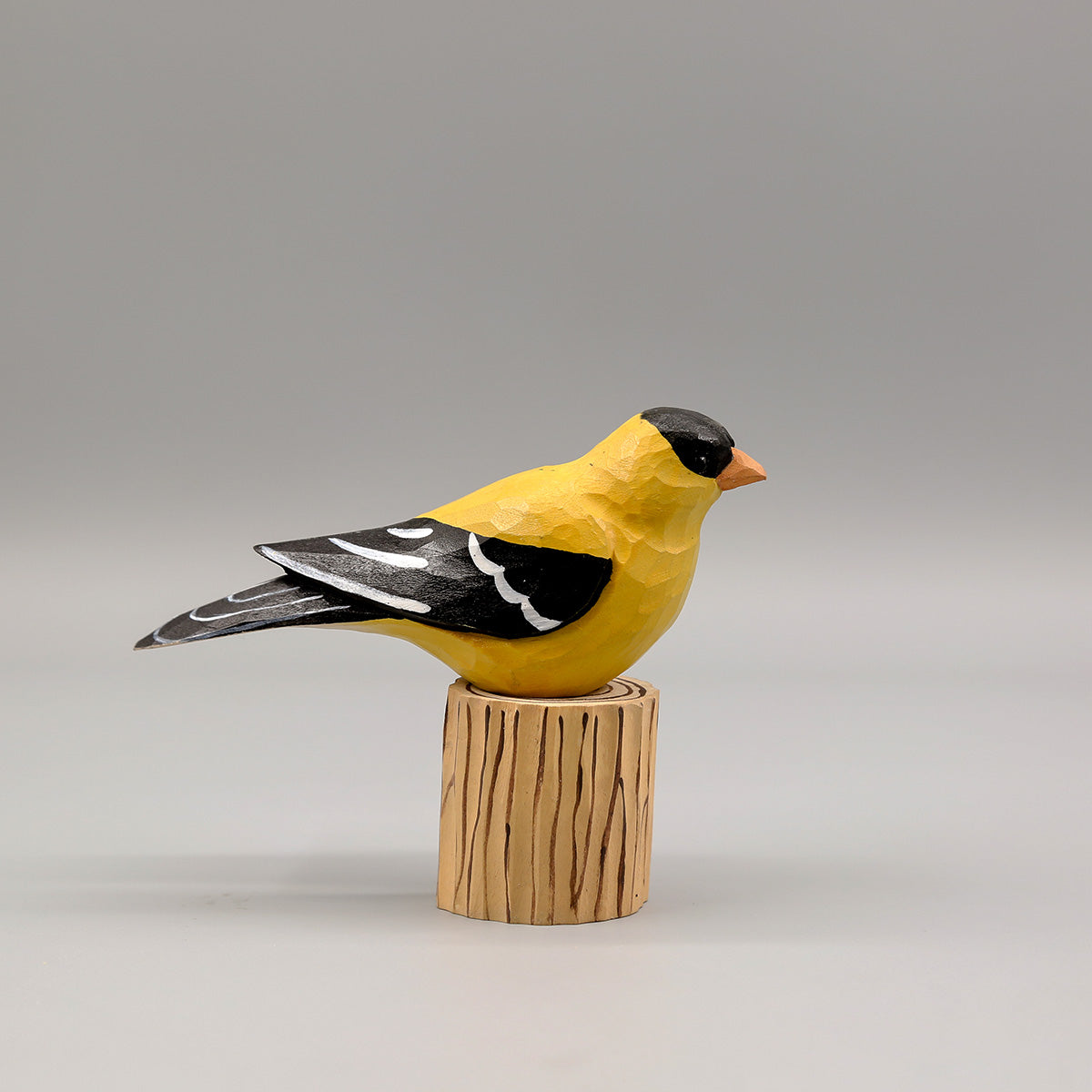 Set of 20 Birds