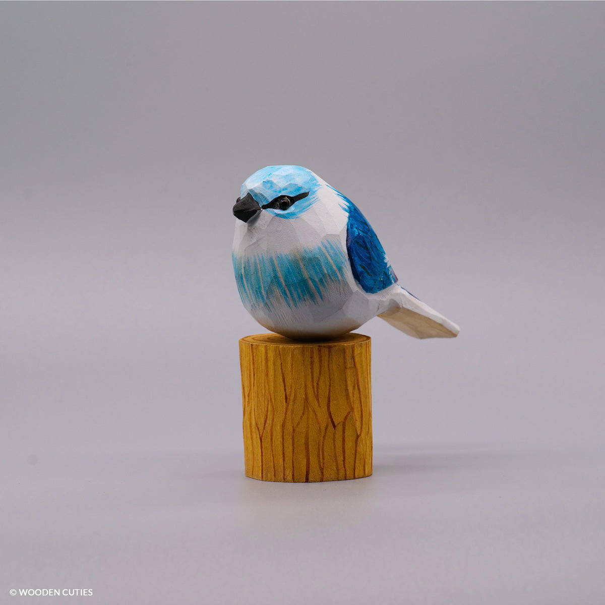 Blue Jay