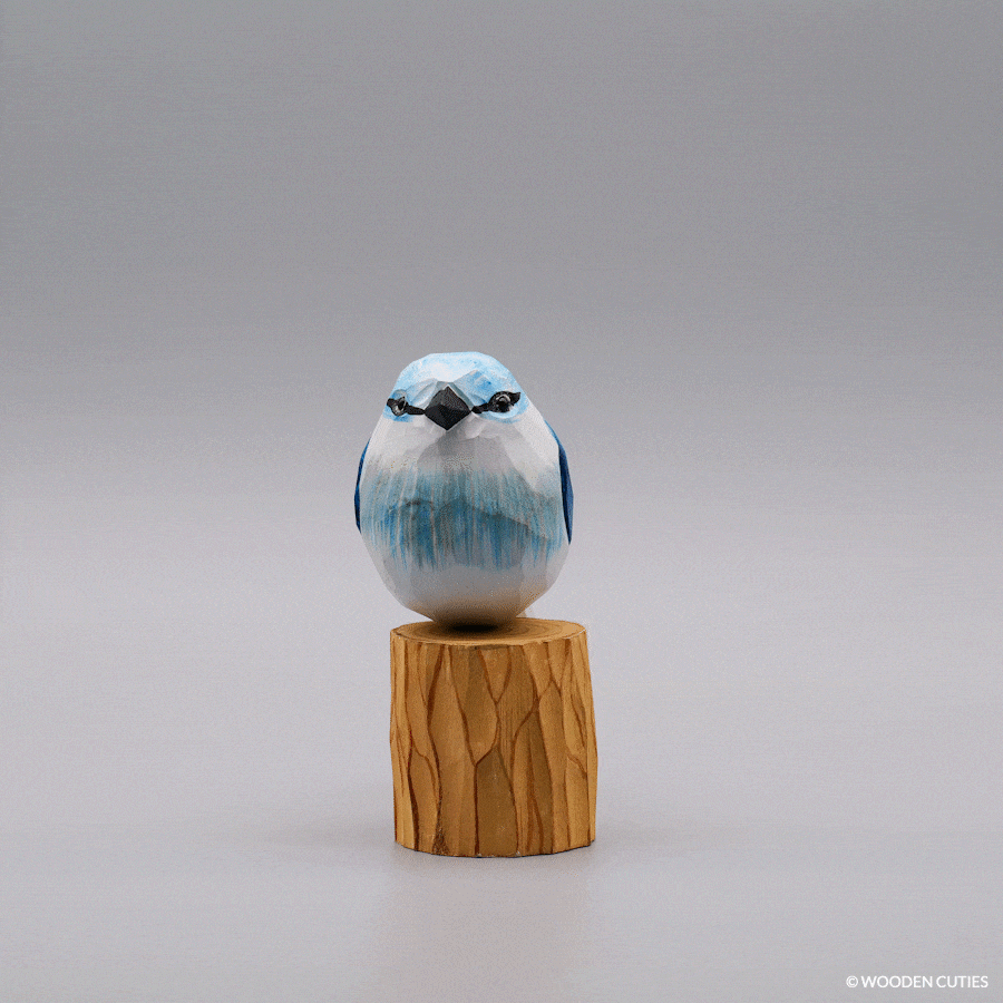 Blue Jay