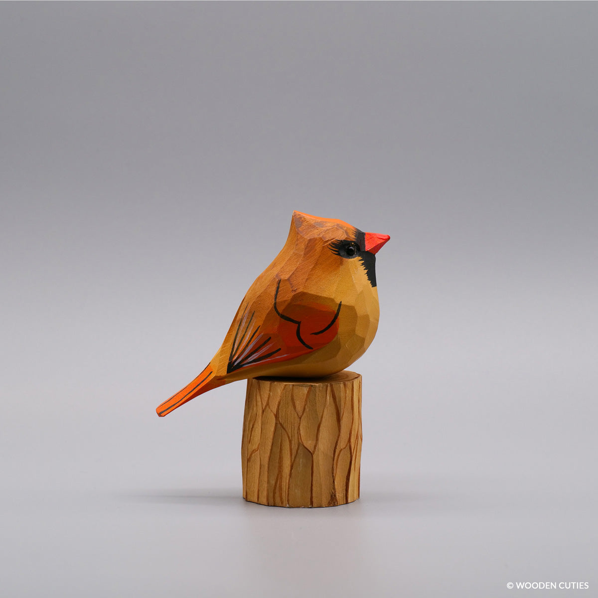 Set of 20 Birds