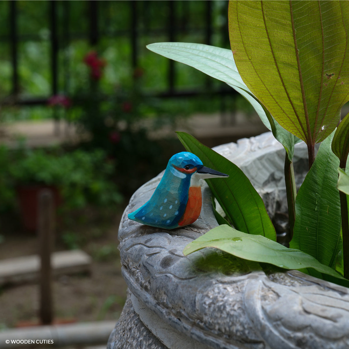 Kingfisher