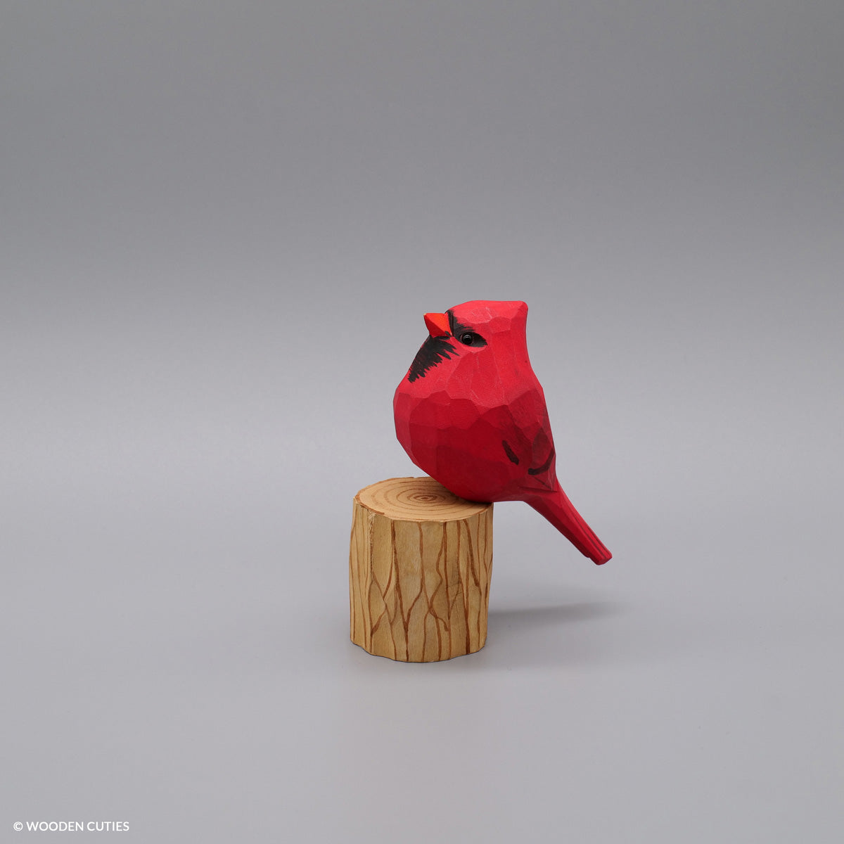 Male Cardinal
