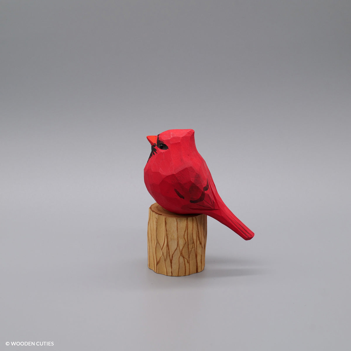 Male Cardinal