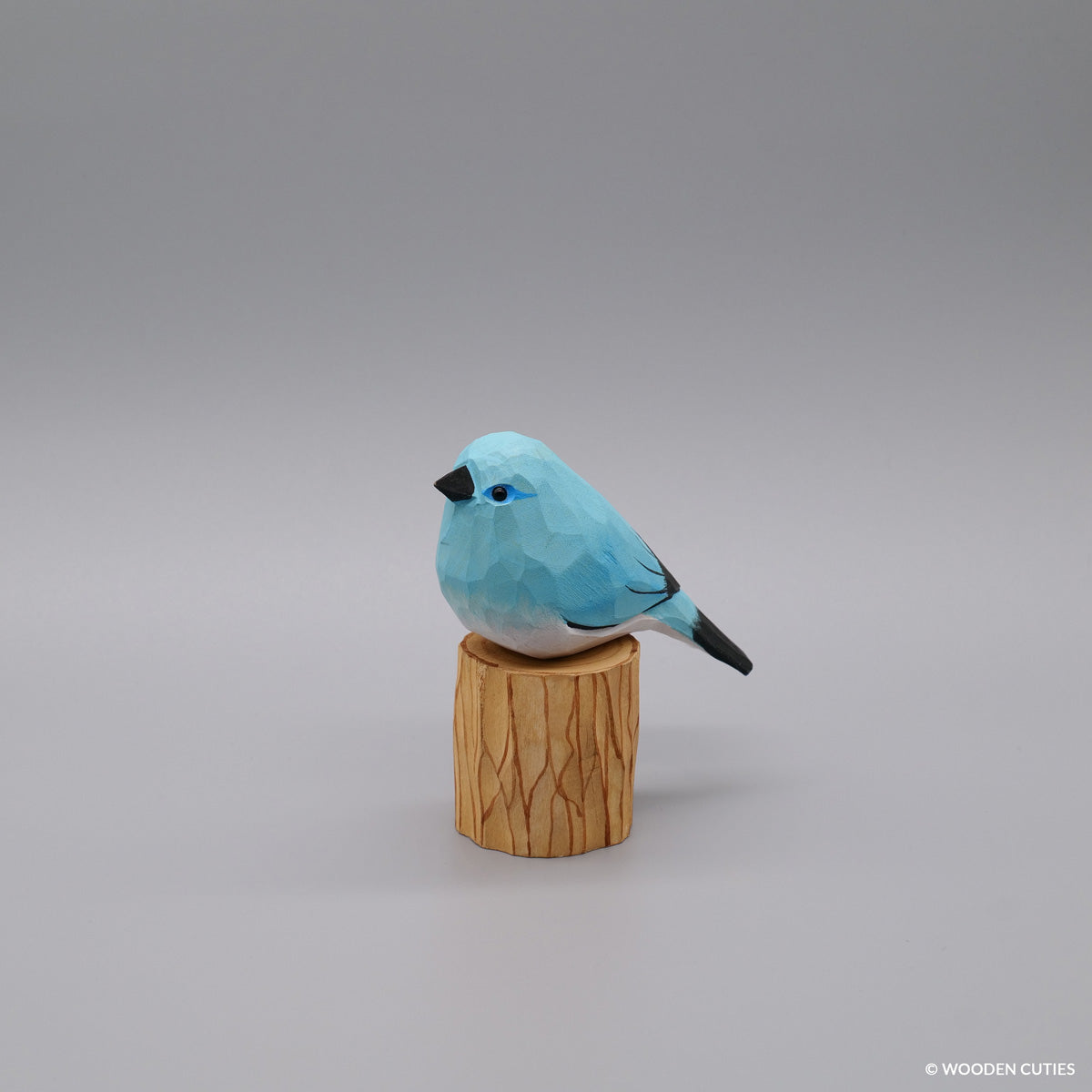 Mountain Bluebird #17 + Stand