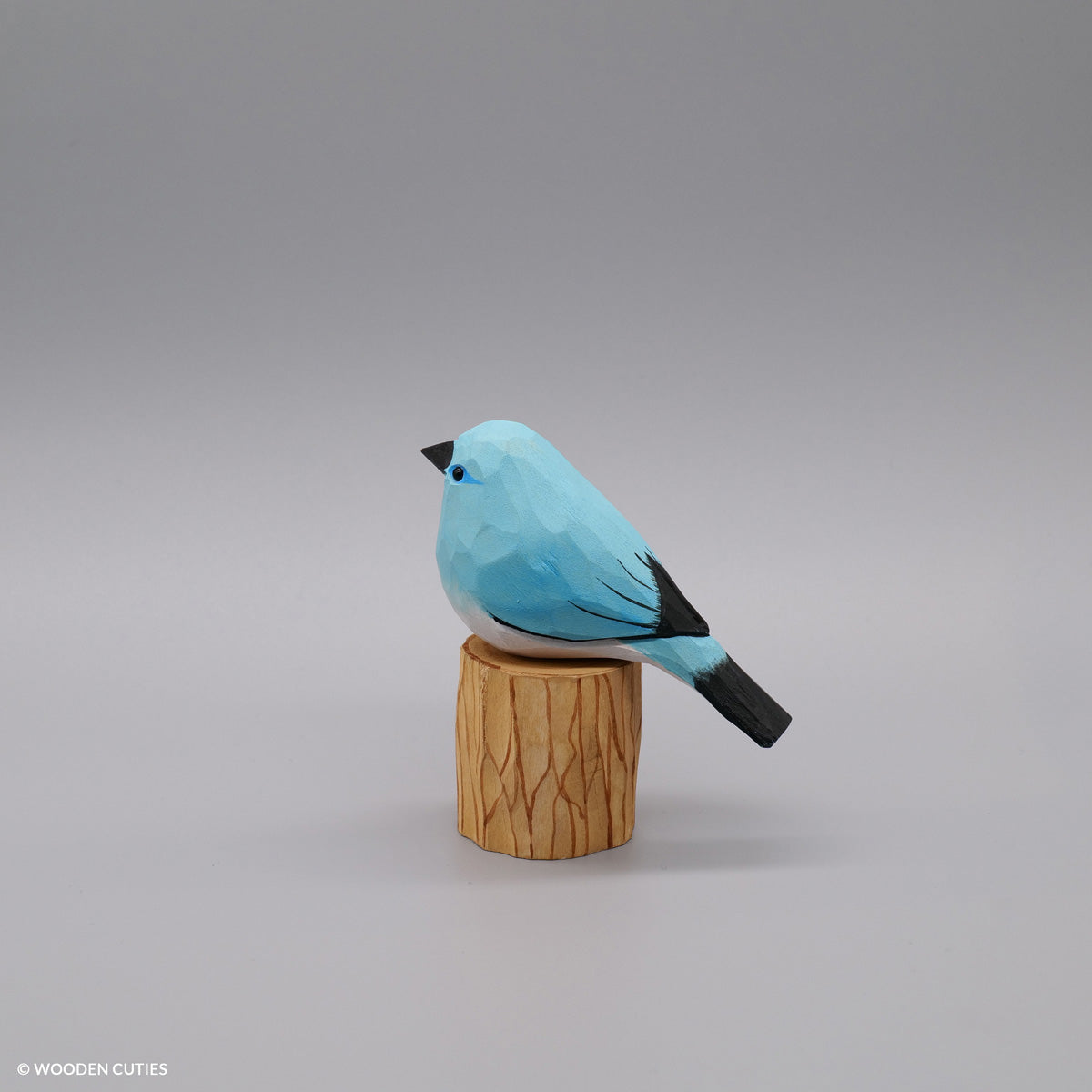 Mountain Bluebird #17 + Stand