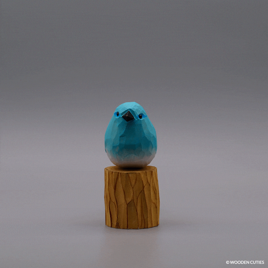 Mountain Bluebird