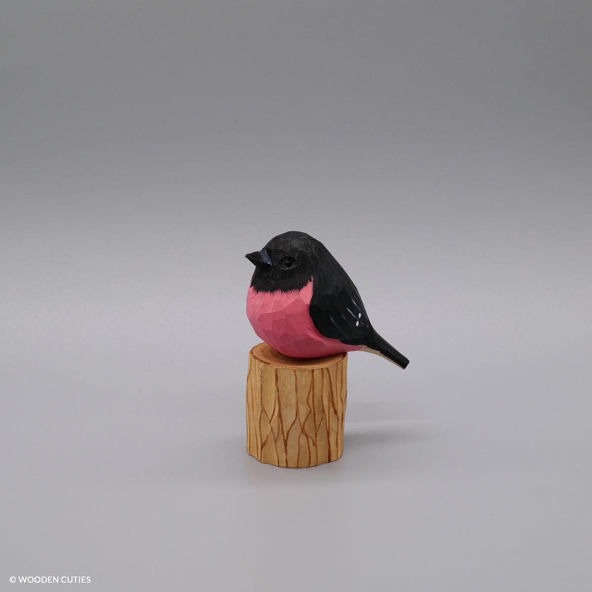Pink Robin #22 + Stand