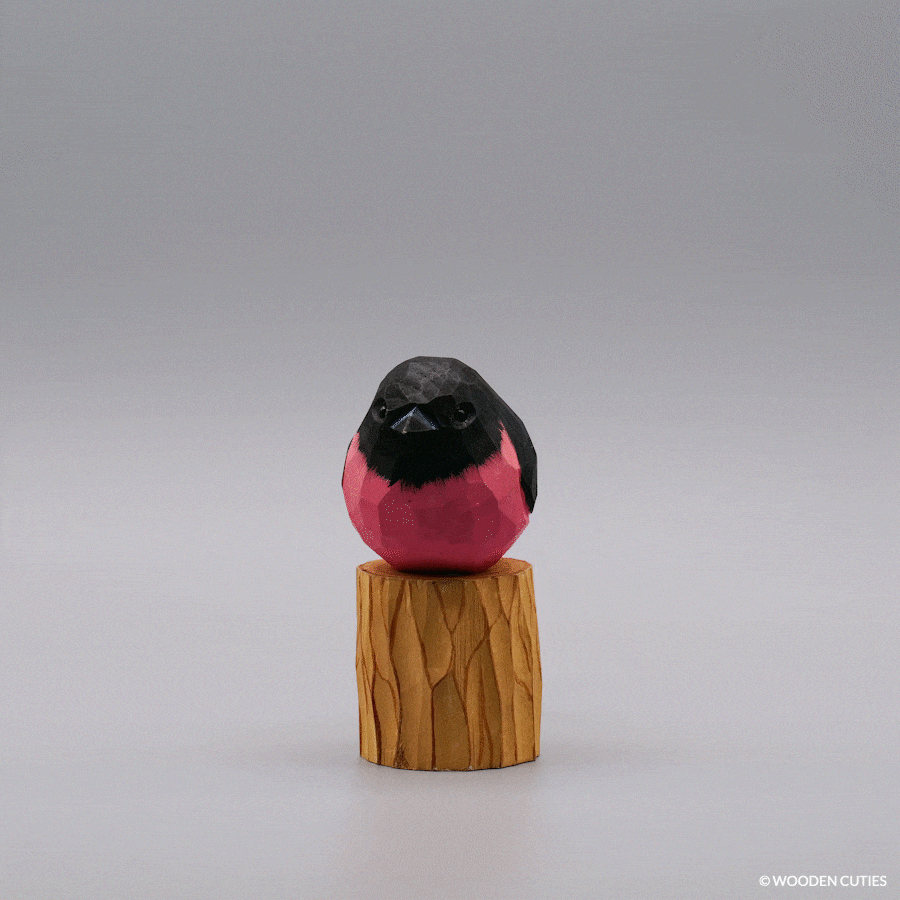 Pink Robin
