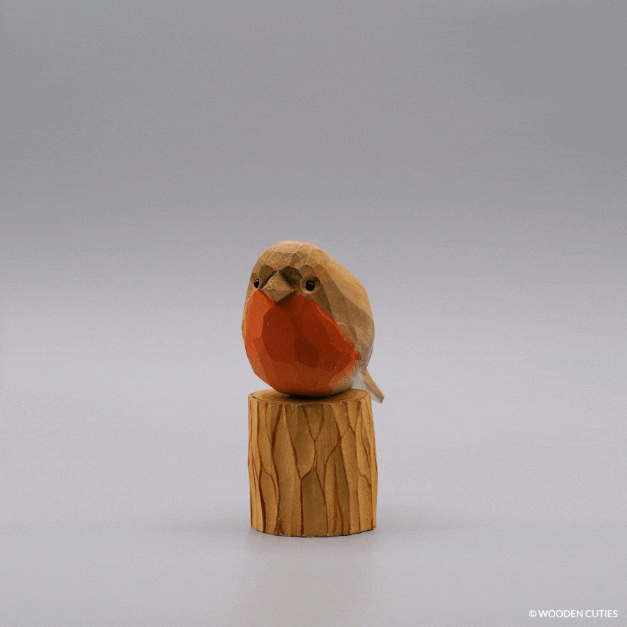 Set of 12 Birds
