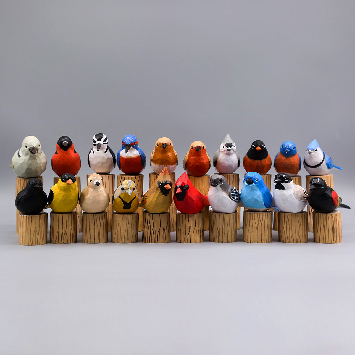 Set of 20 Birds
