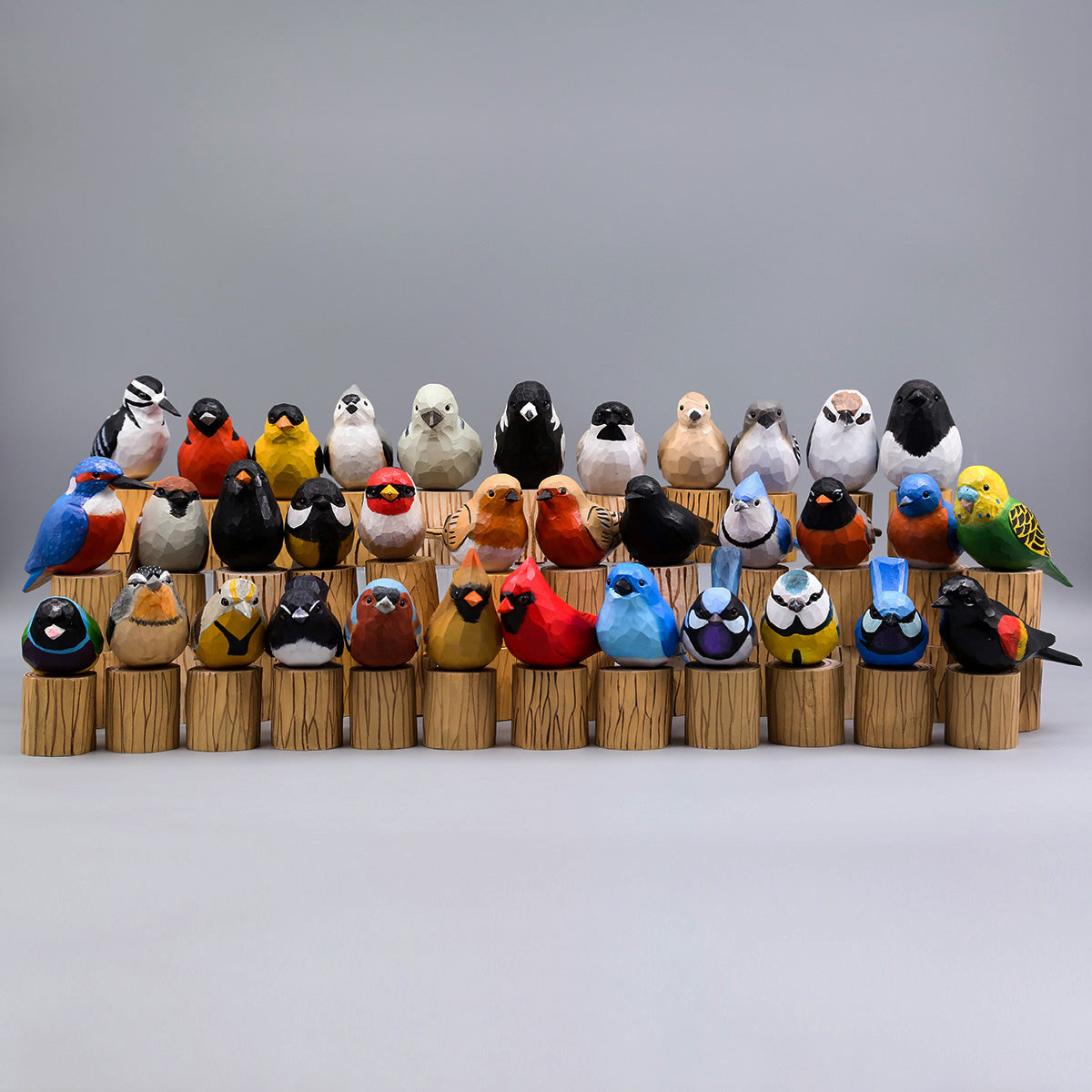 Full Set of 35 Birds
