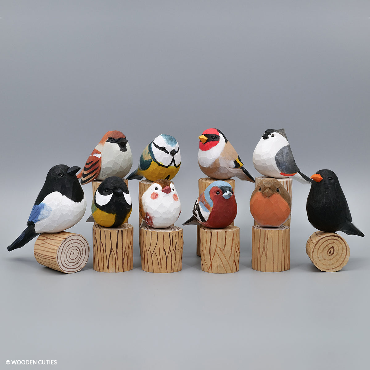 Set of 10 Birds