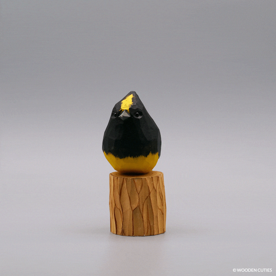 Sultan Tit