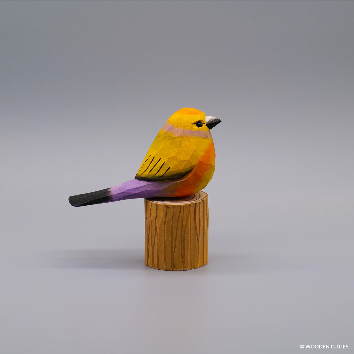 Set of 20 Birds