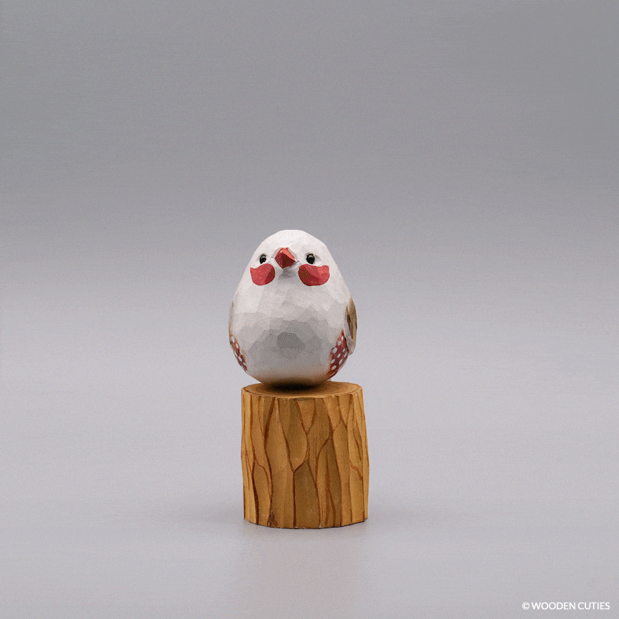 White Zebra Finch
