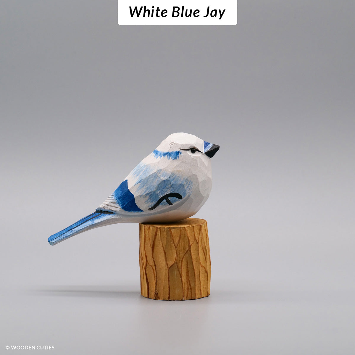 Set of 10 Classic Birds