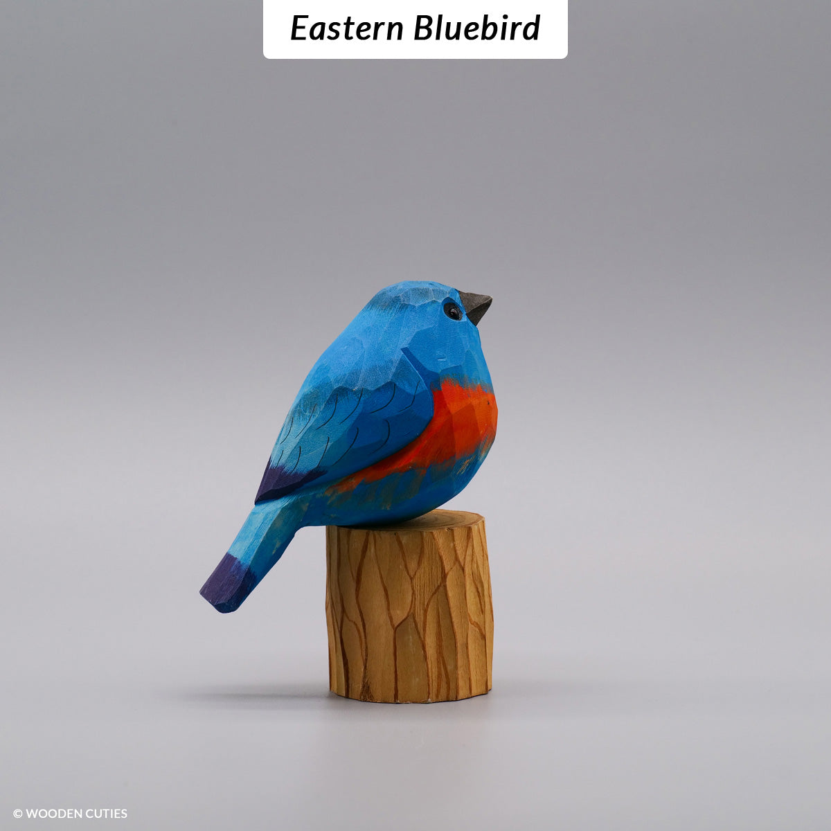 Set of 10 Classic Birds