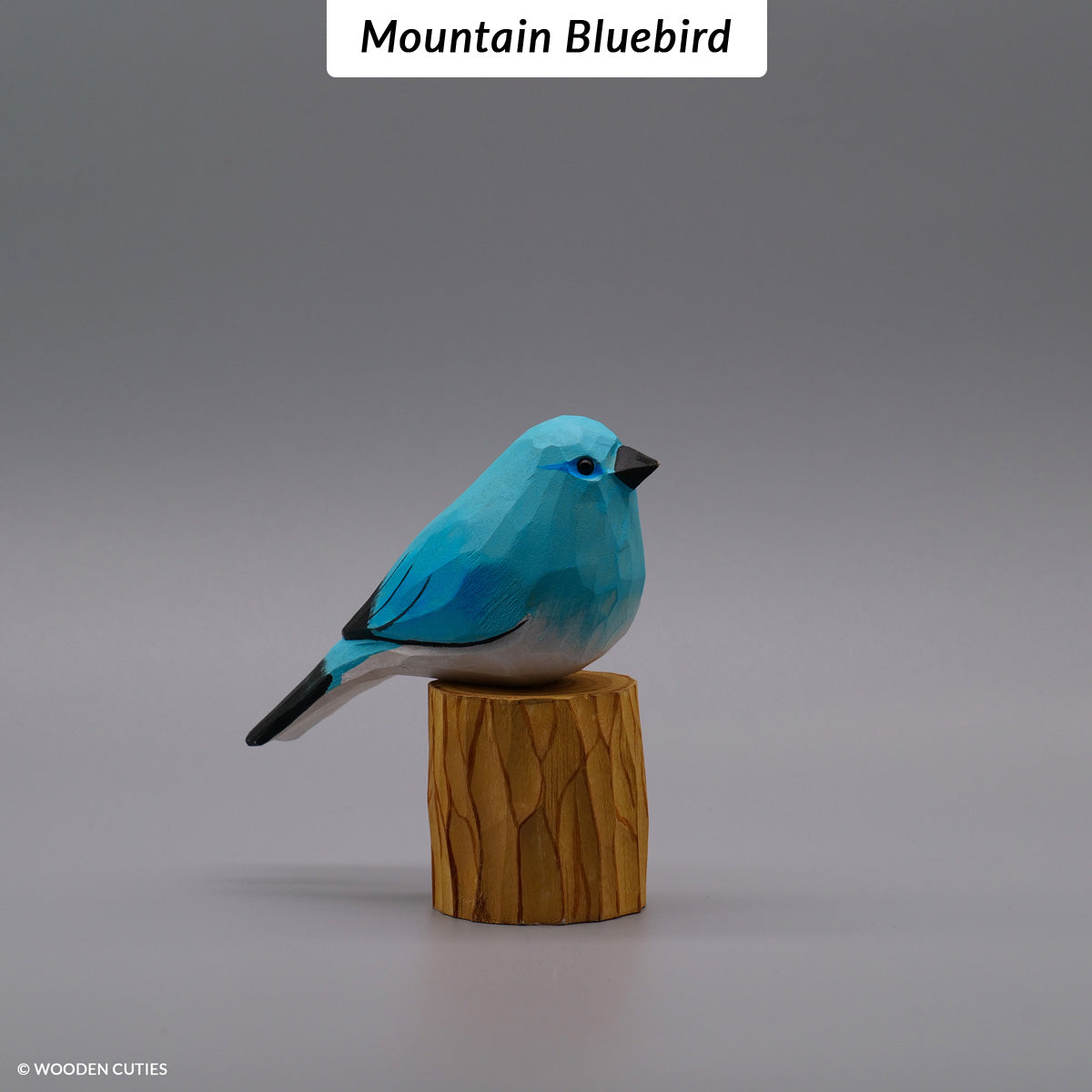 Set of 10 Classic Birds