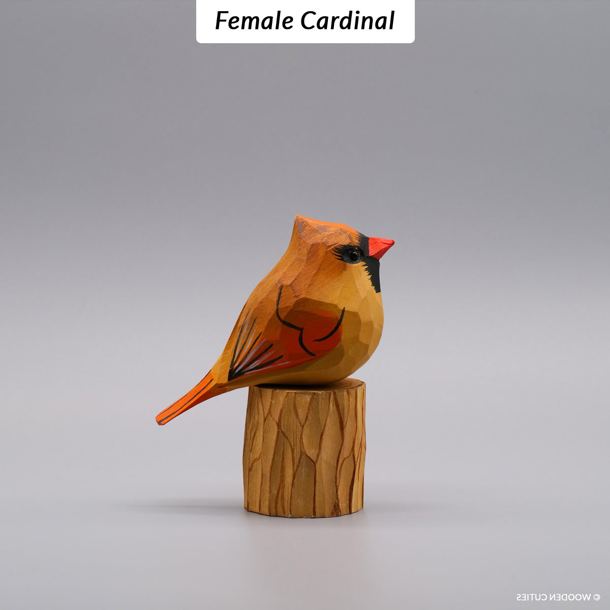 Set of 10 Classic Birds