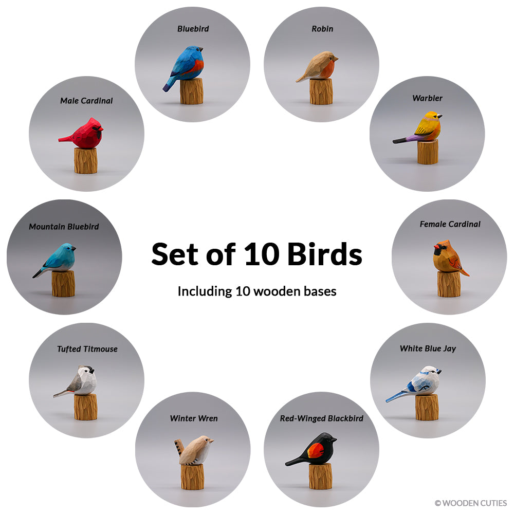 Set of 10 Classic Birds