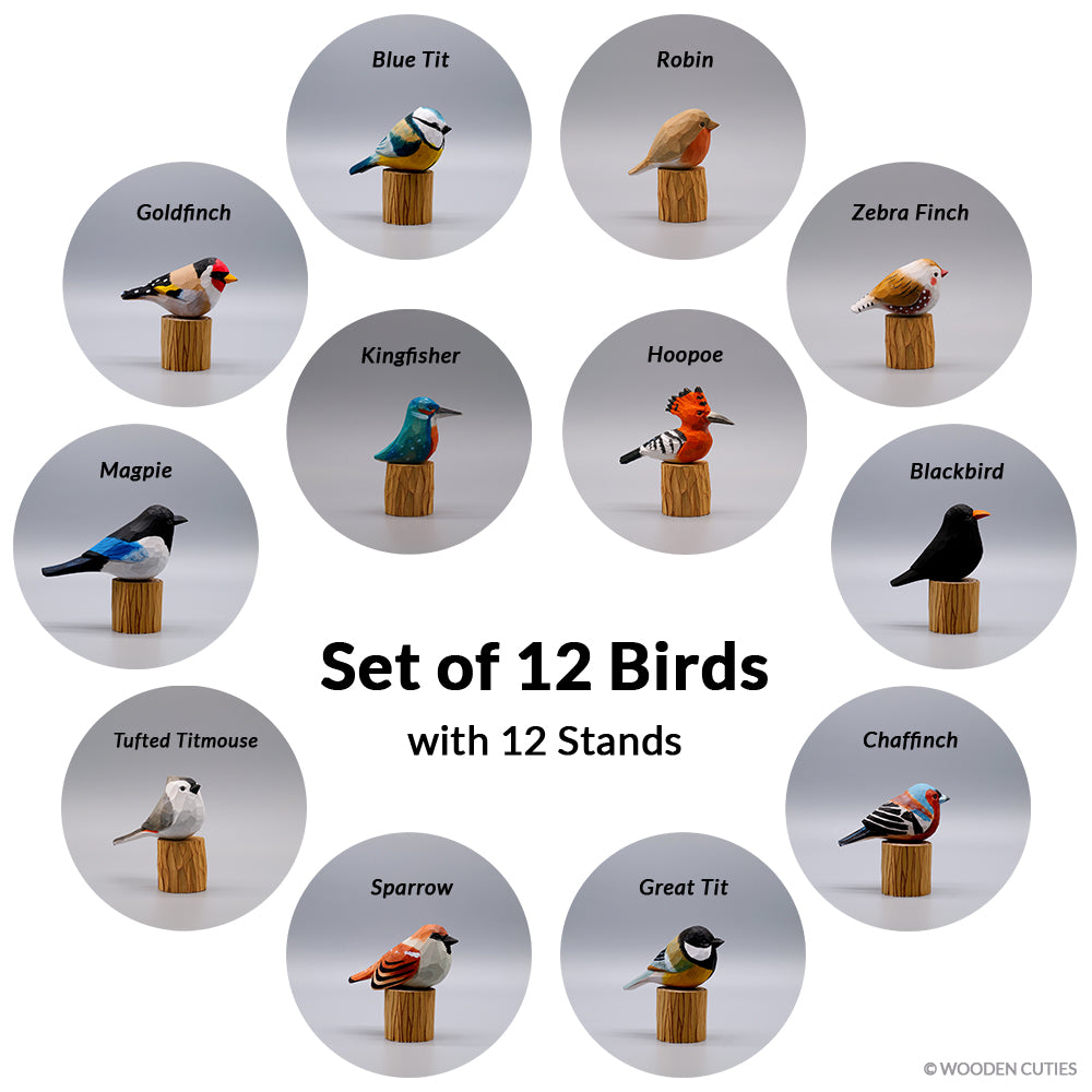 Set of 12 Birds