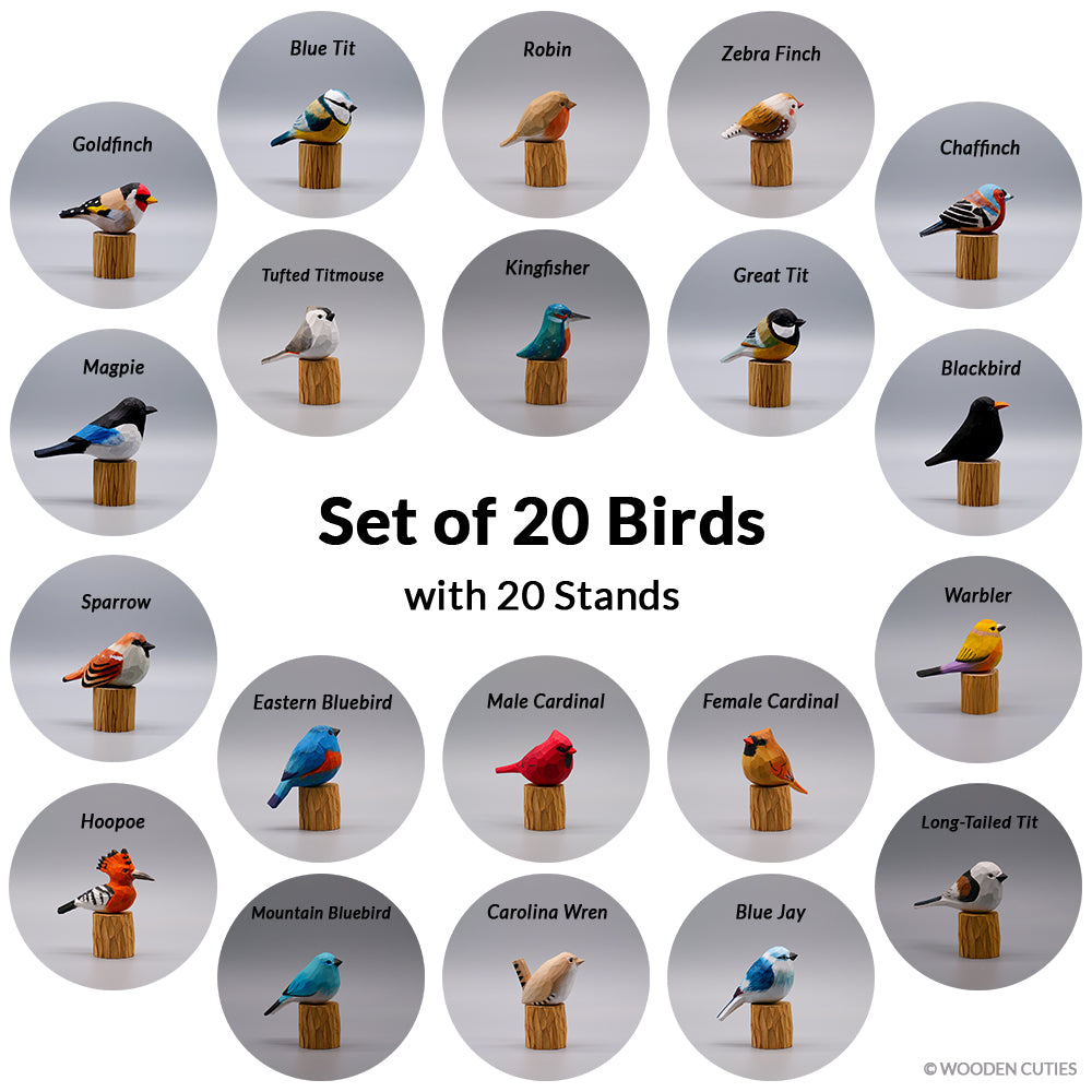 Set of 20 Birds