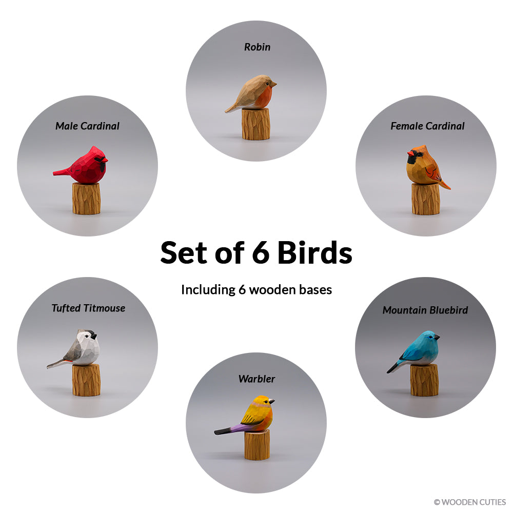 Set of 6 Classic Birds