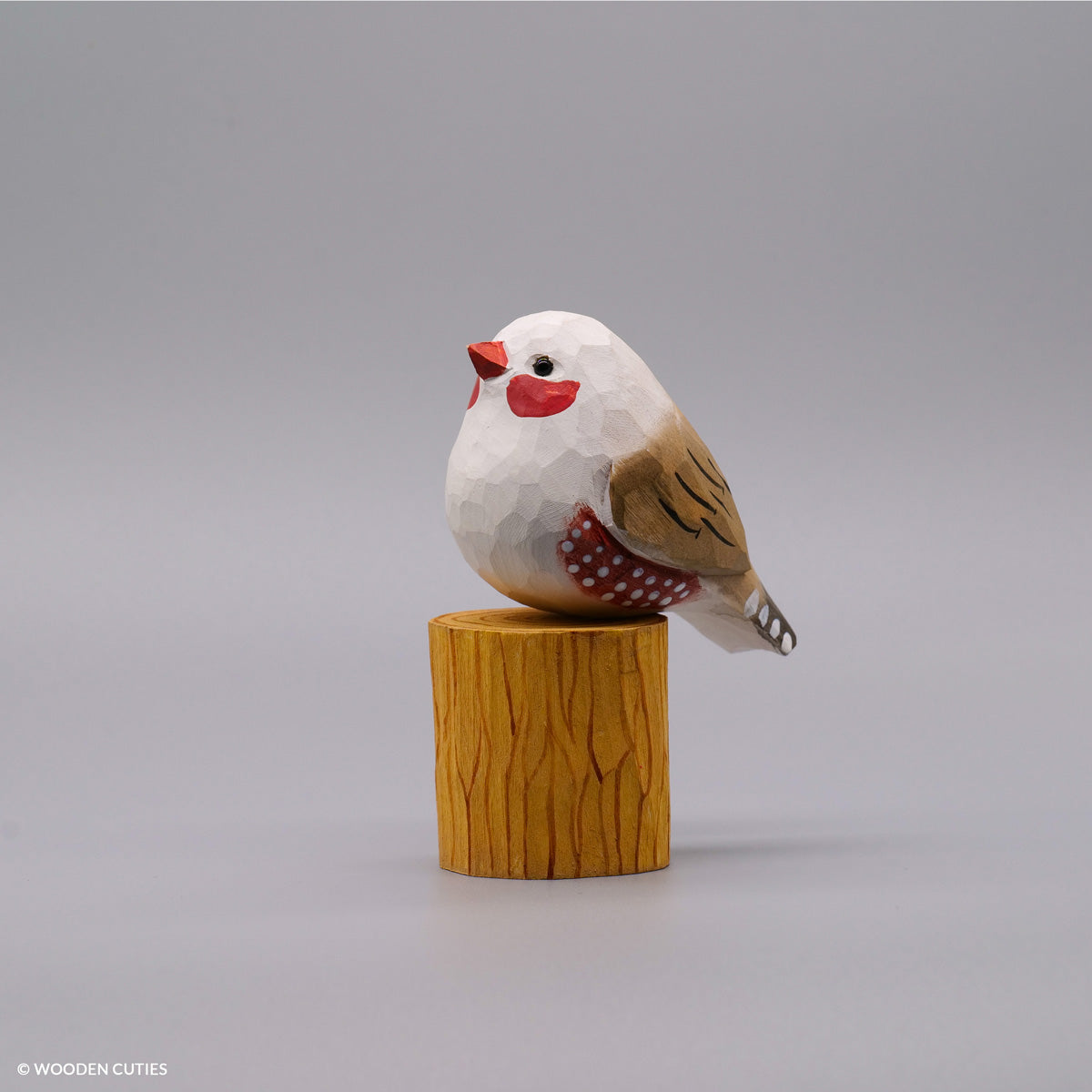 White Zebra Finch