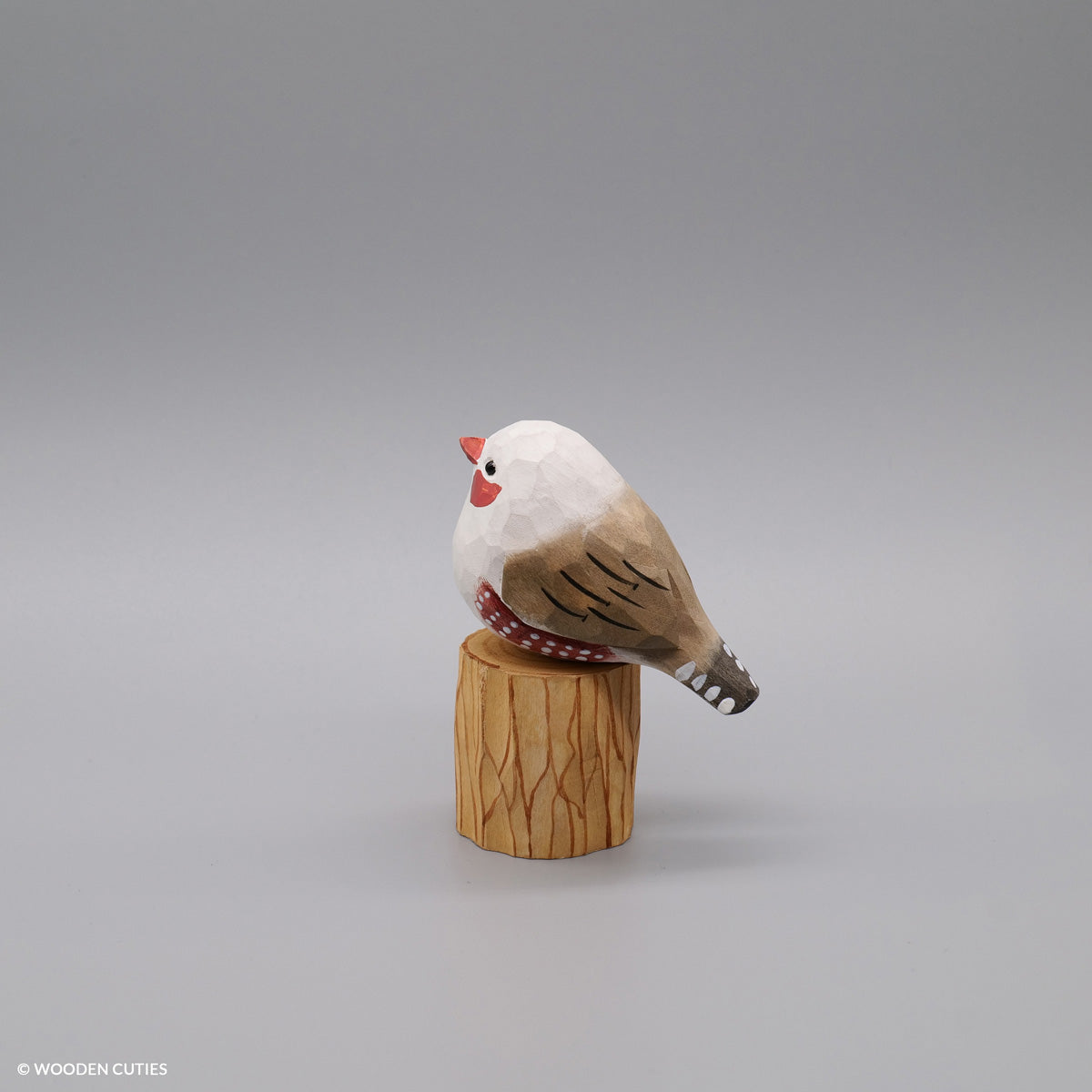 White Zebra Finch