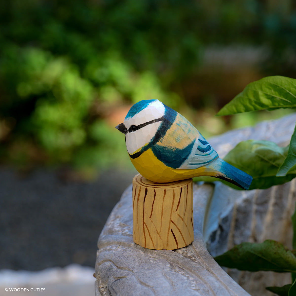 Blue Tit