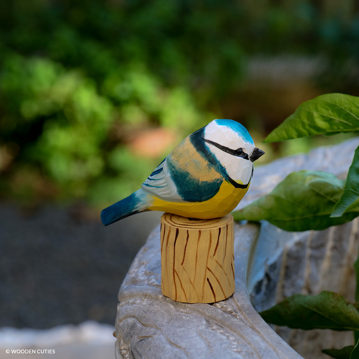 Blue Tit