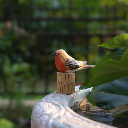 Male and Female Robins Set