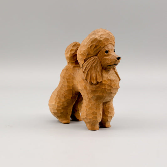 Brown Poodle