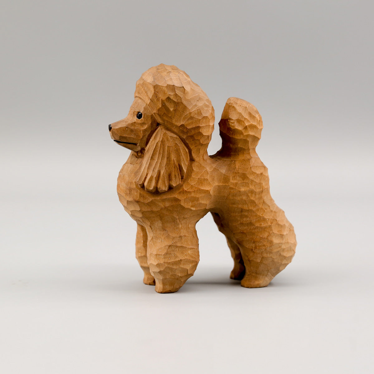 Brown Poodle