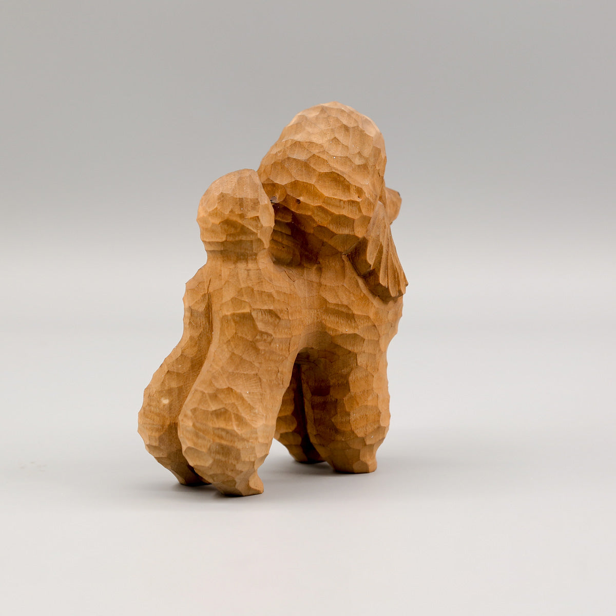 Brown Poodle
