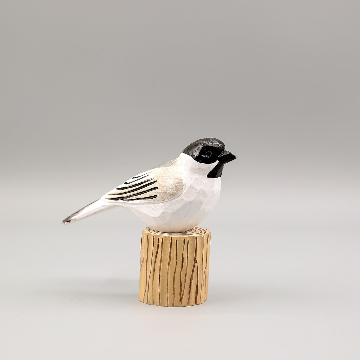 Black-Capped Chickadee