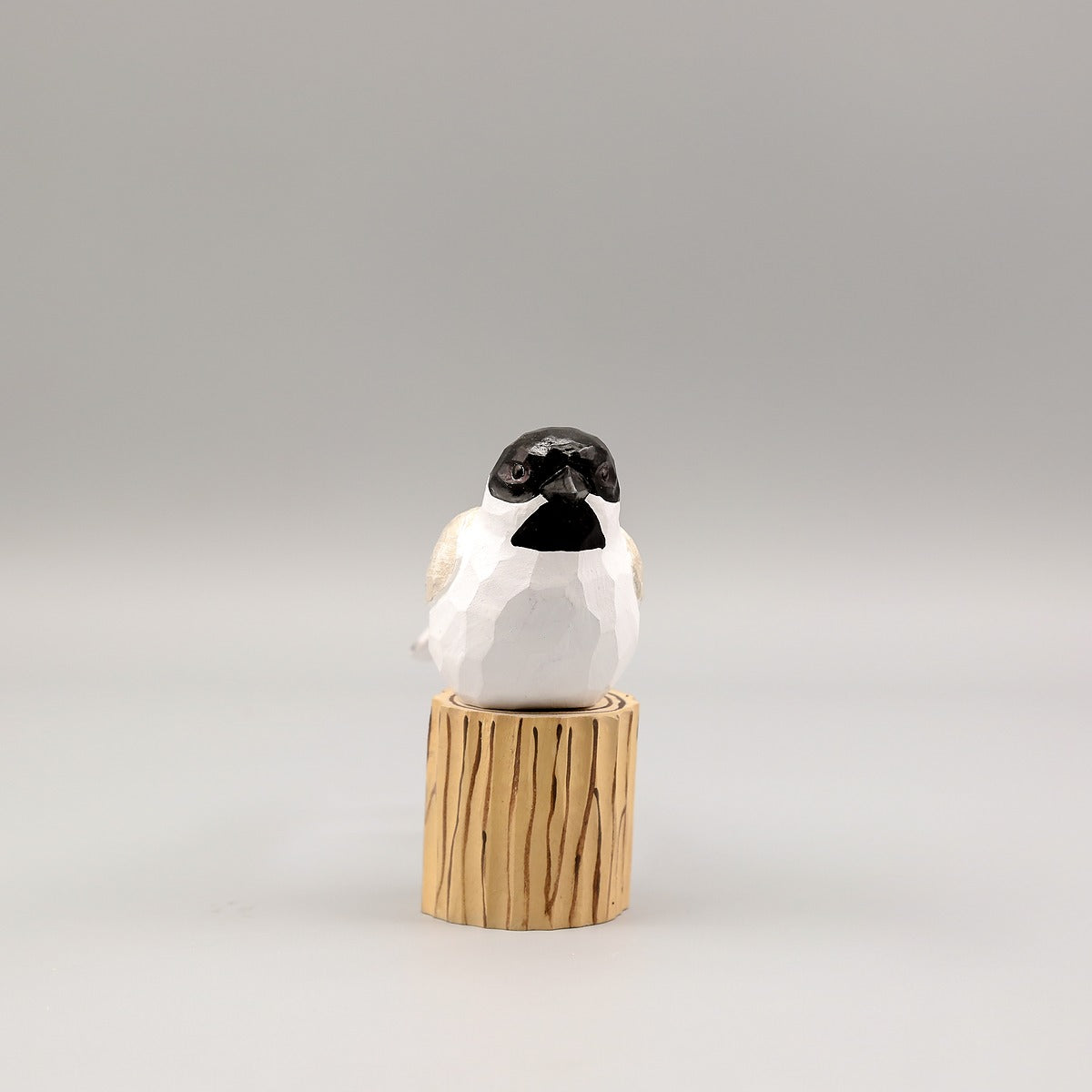 Black-Capped Chickadee