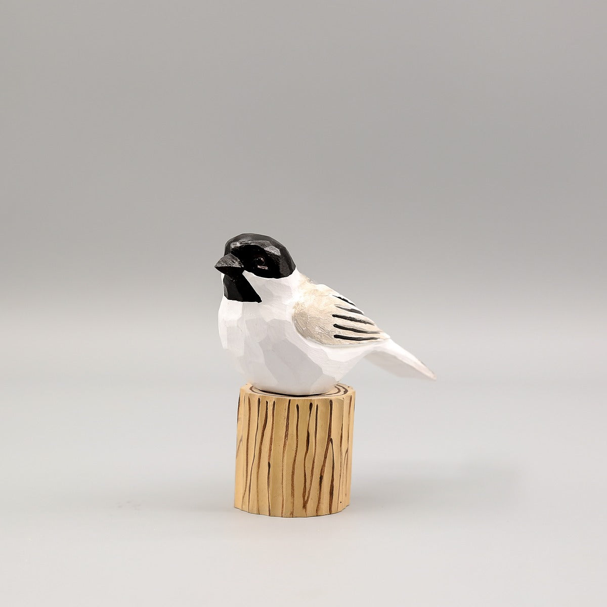 Black-Capped Chickadee