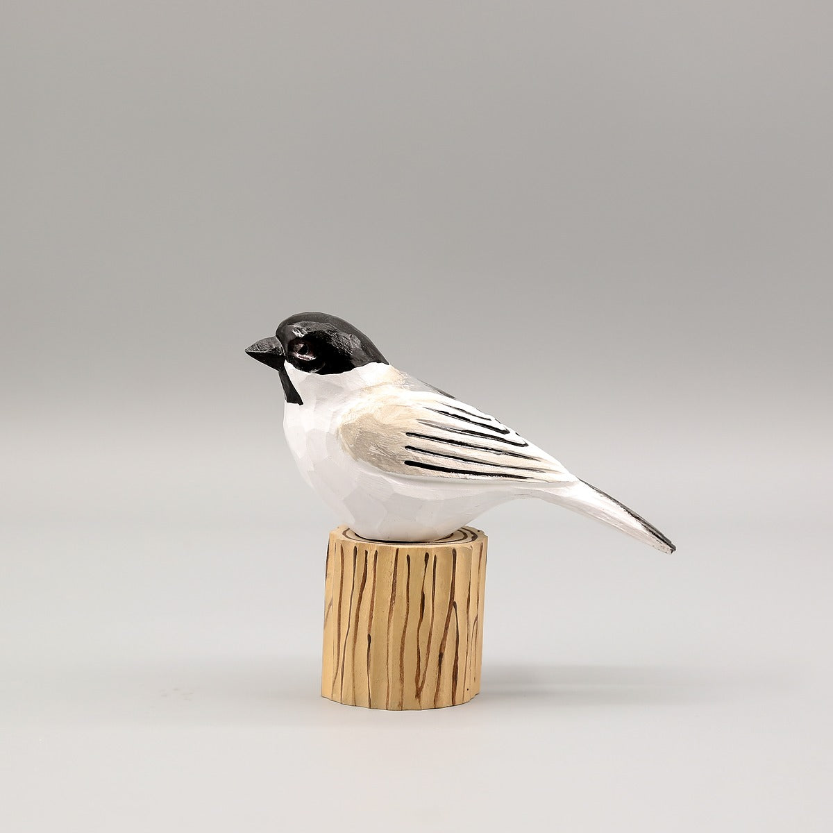 Black-Capped Chickadee