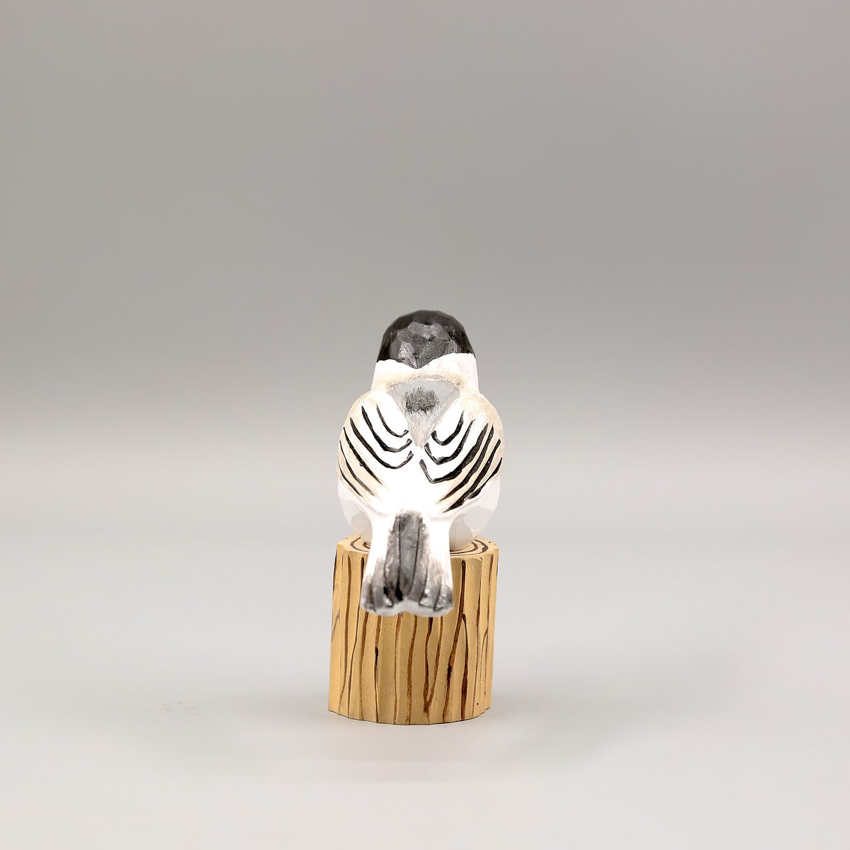 Black-Capped Chickadee